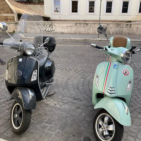 Daire Domus Provinciae *